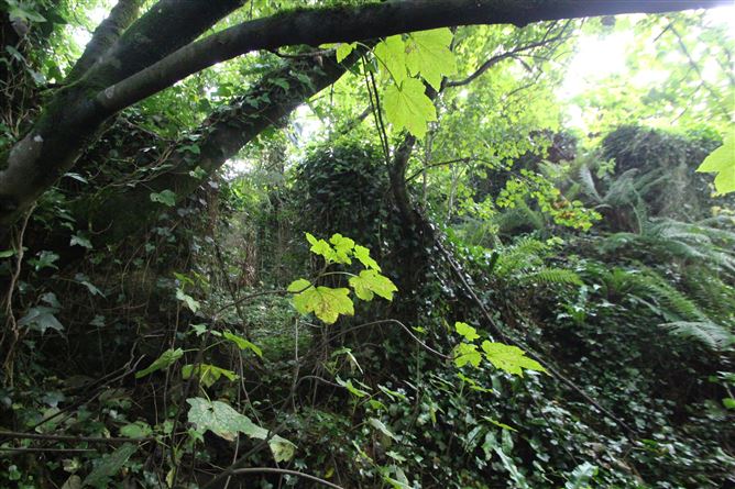 Reagrove, Minane Bridge, Cork