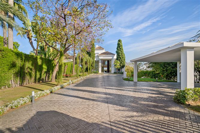 Spain, Marbella, Nueva Andalucia - COSTA-01045P