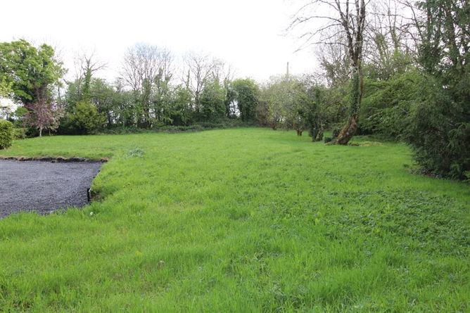 Derrylow, Carrick-on-Shannon, Croghan, Roscommon