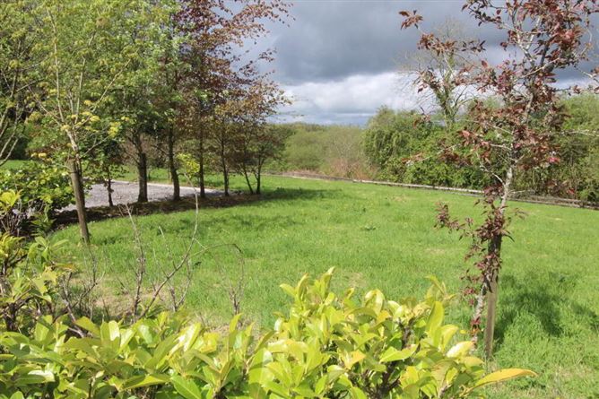 Derrylow, Carrick-on-Shannon, Croghan, Roscommon