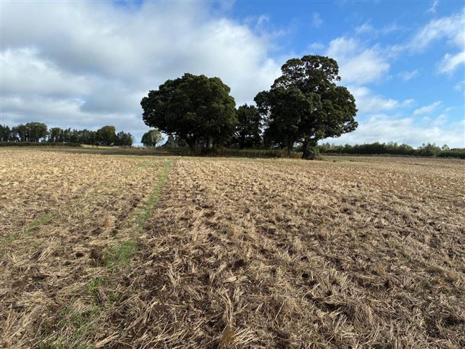 26.3 Acres Garretstown, Dunshaughlin, County Meath