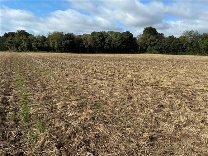 26.3 Acres Garretstown, Dunshaughlin, County Meath