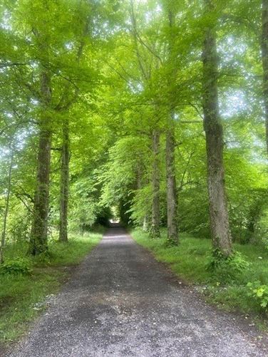 Lime Avenue, Kilnamoragh South, Donadea, Co. Kildare