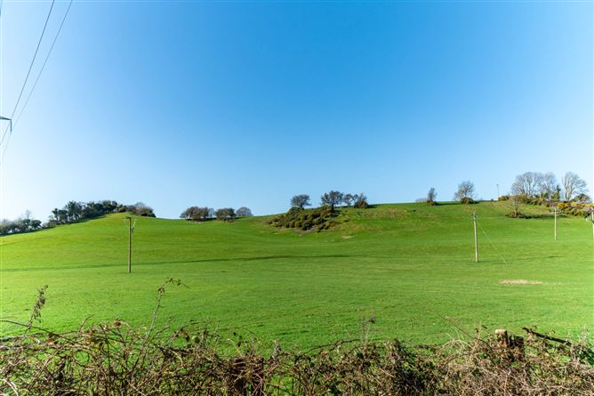 21.5 Acres Dowdenstown Great, Ballymore Eustace, Naas, County Kildare