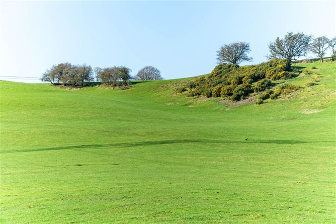 21.5 Acres Dowdenstown Great, Ballymore Eustace, Naas, County Kildare