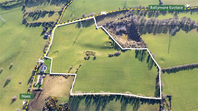 21.5 Acres Dowdenstown Great, Ballymore Eustace, Naas, County Kildare
