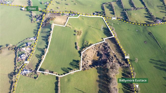21.5 Acres Dowdenstown Great, Ballymore Eustace, Naas, County Kildare