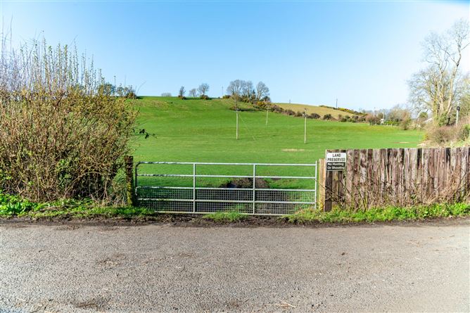 21.5 Acres Dowdenstown Great, Ballymore Eustace, Naas, County Kildare