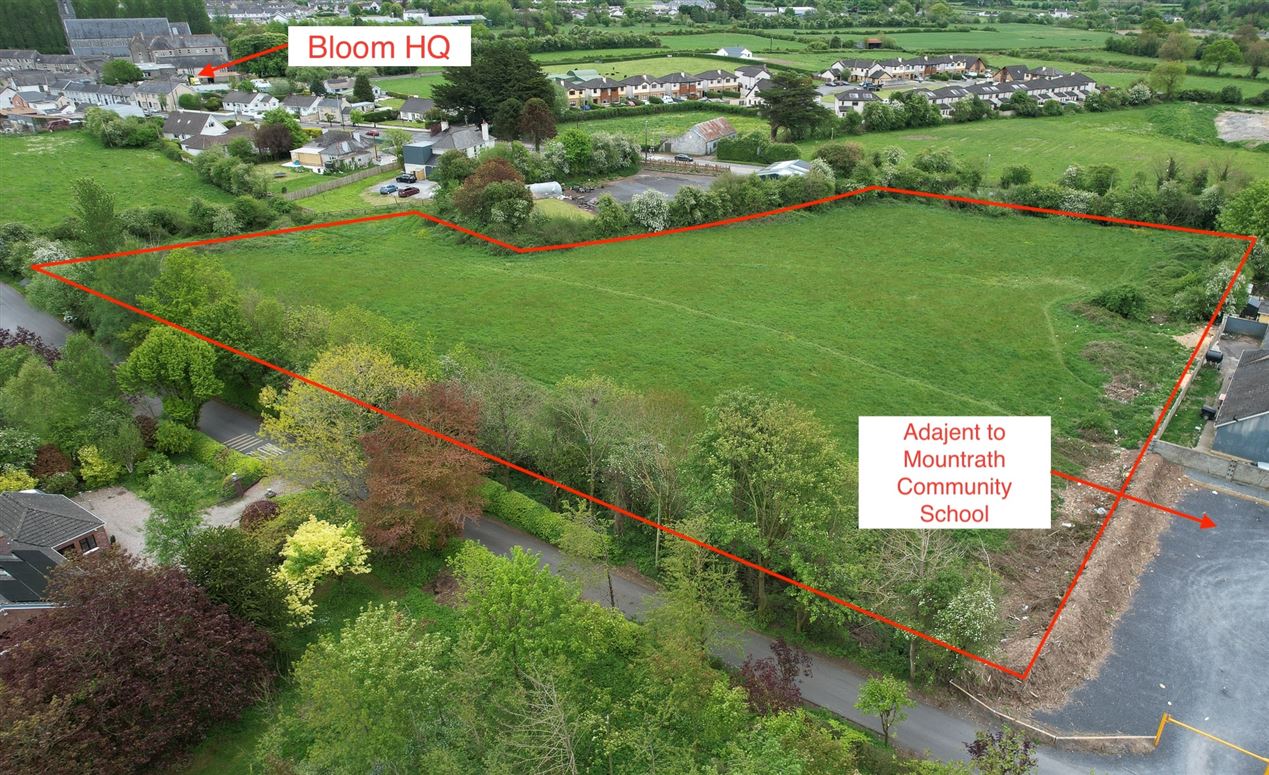 Dysartbeigh, Mountrath, Co. Laois