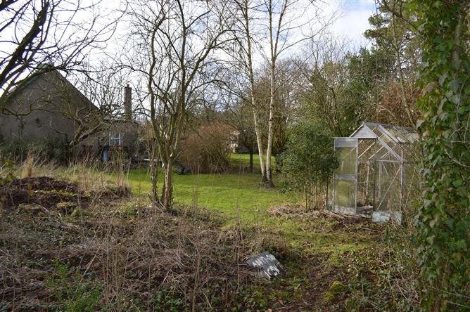 "Buhala", The Conoboro, Rathdowney, Laois