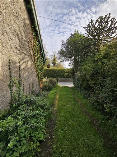"Buhala", The Conoboro, Rathdowney, Laois
