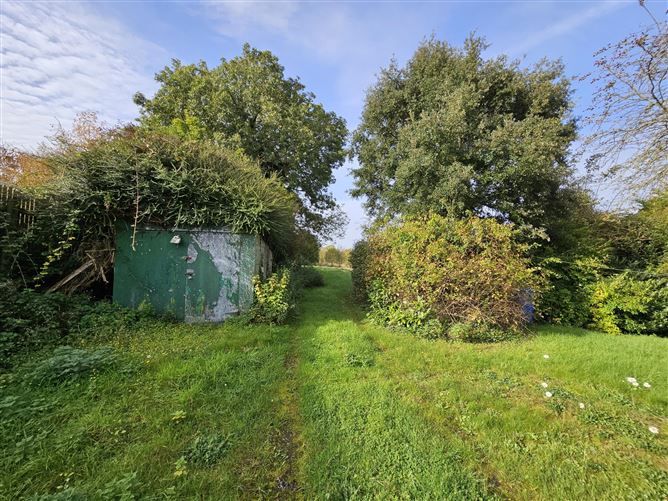 "Buhala", The Conoboro, Rathdowney, Laois
