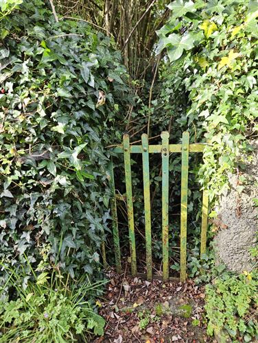 "Buhala", The Conoboro, Rathdowney, Laois