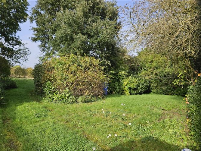"Buhala", The Conoboro, Rathdowney, Laois