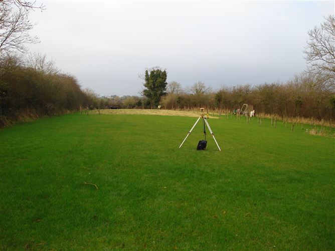 "Buhala", The Conoboro, Rathdowney, Laois