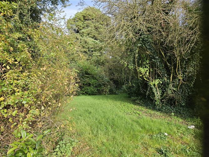 "Buhala", The Conoboro, Rathdowney, Laois