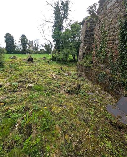 Derelict Property At Mills Lane, Granard, Co. Longford