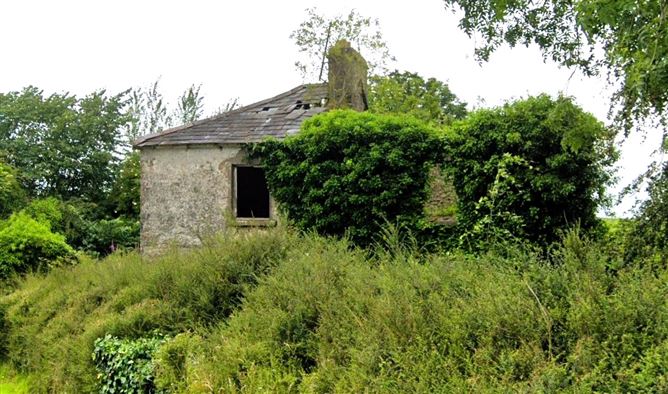 Derelict Property At Mills Lane, Granard, Co. Longford