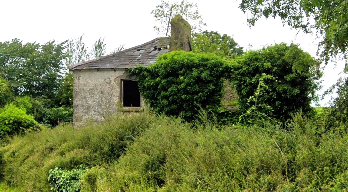 Derelict Property At Mills Lane, Granard, Co. Longford