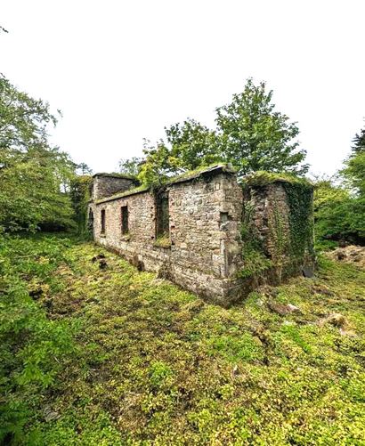 Derelict Property At Mills Lane, Granard, Co. Longford