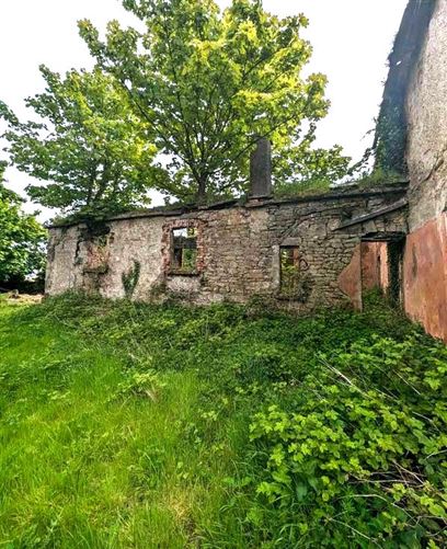 Derelict Property At Mills Lane, Granard, Co. Longford