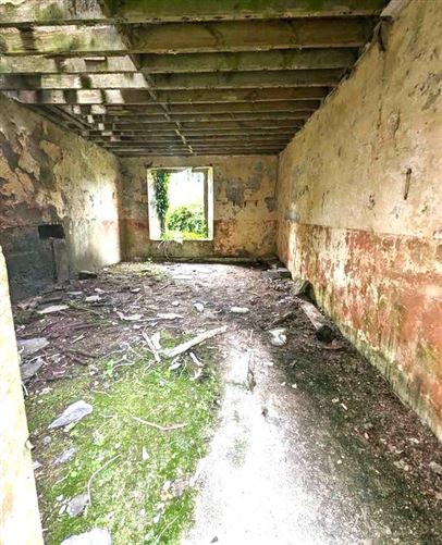 Derelict Property At Mills Lane, Granard, Co. Longford