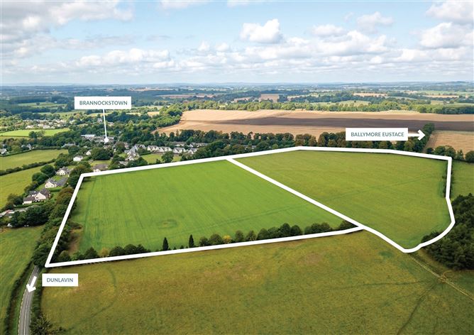 c. 16 Acres, Moorhill, Brannockstown, Kildare