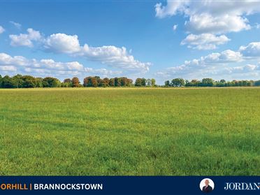 c. 16 Acres, Moorhill, Brannockstown, Kildare