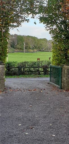 Knocktaggert, Glannagilliagh, Caragh Lake, Killorglin, Co. Kerry