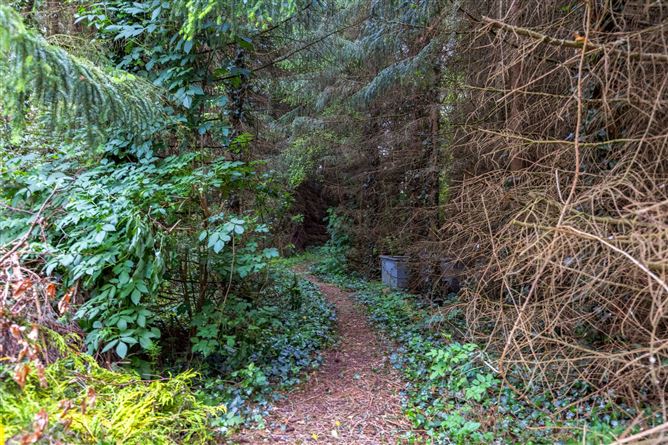 Primatestown, Ashbourne, Co. Meath