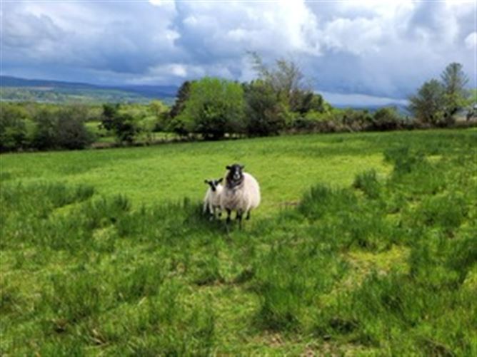 Ardmoneen, Glenfarne, Leitrim