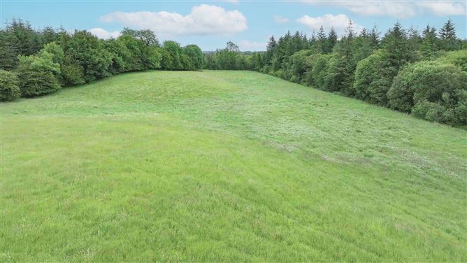 Newforest/Cloneyheigue,, Kilbeggan, Westmeath