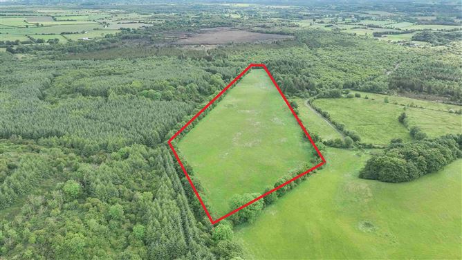 Newforest/Cloneyheigue,, Kilbeggan, Westmeath