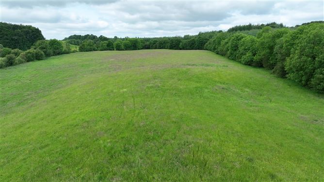 Newforest/Cloneyheigue,, Kilbeggan, Westmeath