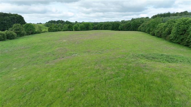 Newforest/Cloneyheigue,, Kilbeggan, Westmeath
