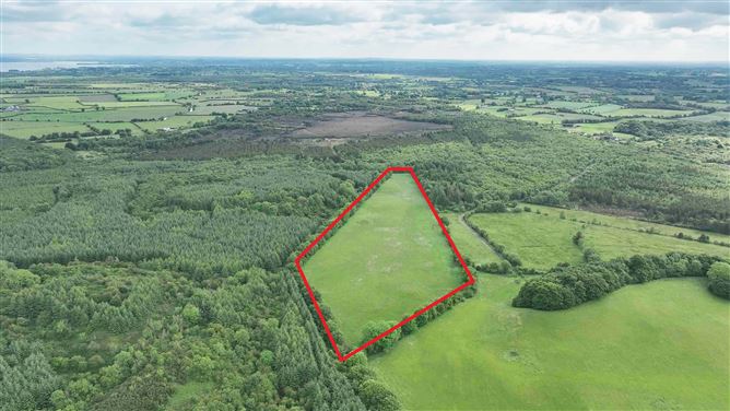 Newforest/Cloneyheigue,, Kilbeggan, Westmeath