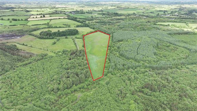 Newforest/Cloneyheigue,, Kilbeggan, Westmeath