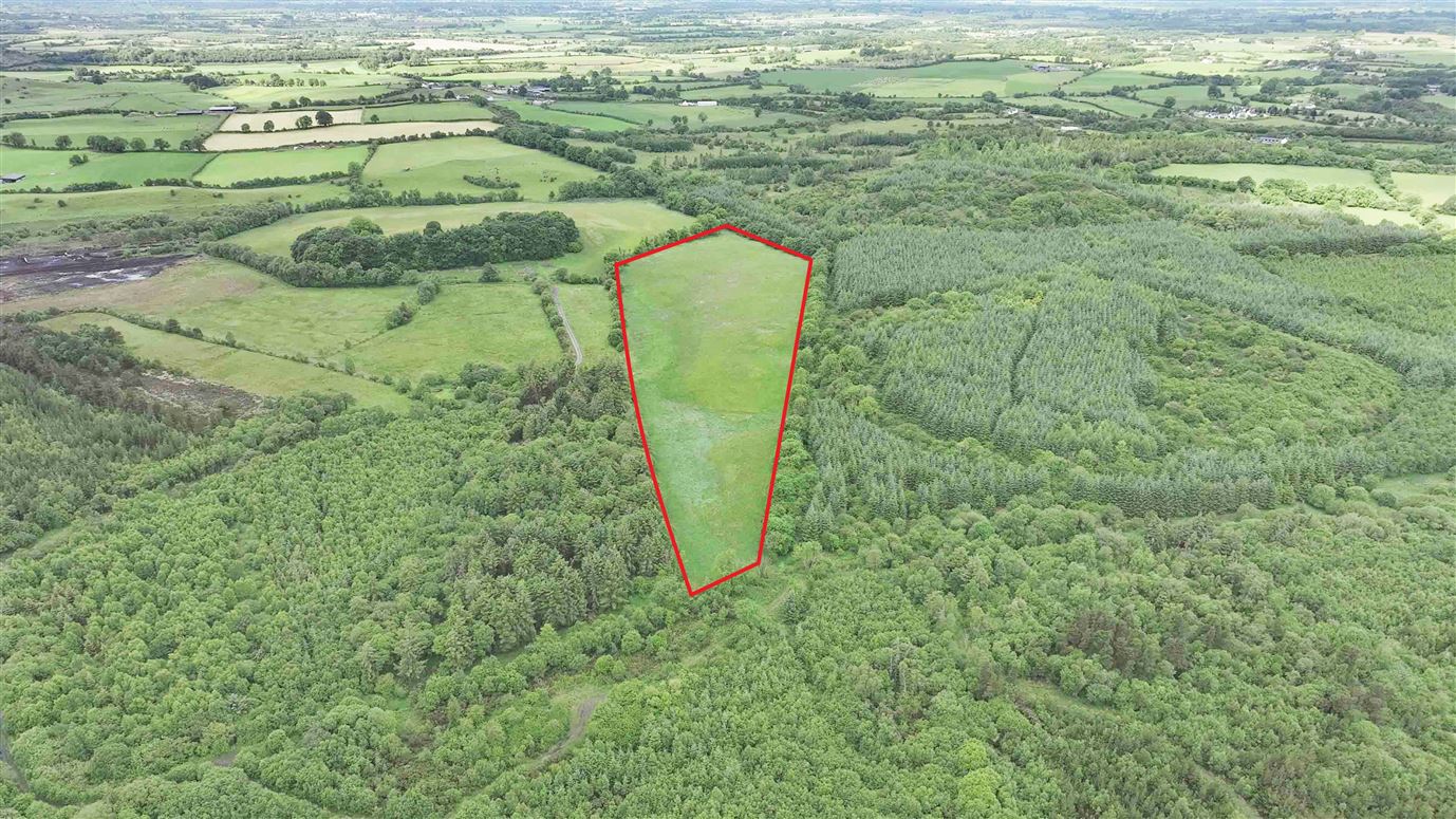 Newforest/Cloneyheigue,, Kilbeggan, Westmeath