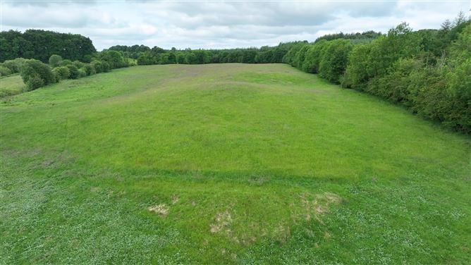 Newforest/Cloneyheigue,, Kilbeggan, Westmeath