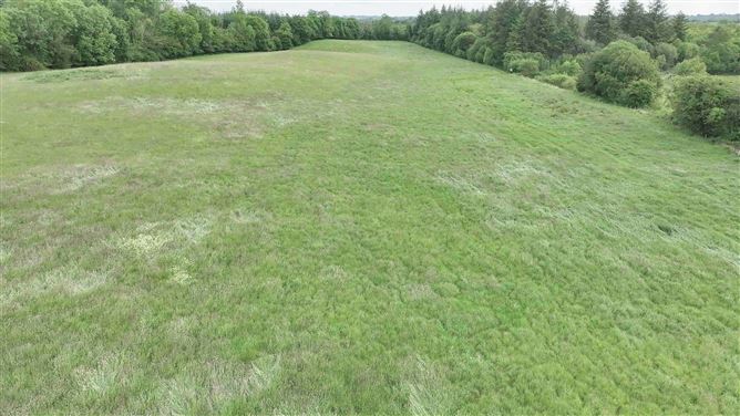 Newforest/Cloneyheigue,, Kilbeggan, Westmeath