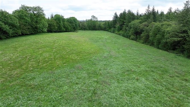 Newforest/Cloneyheigue,, Kilbeggan, Westmeath