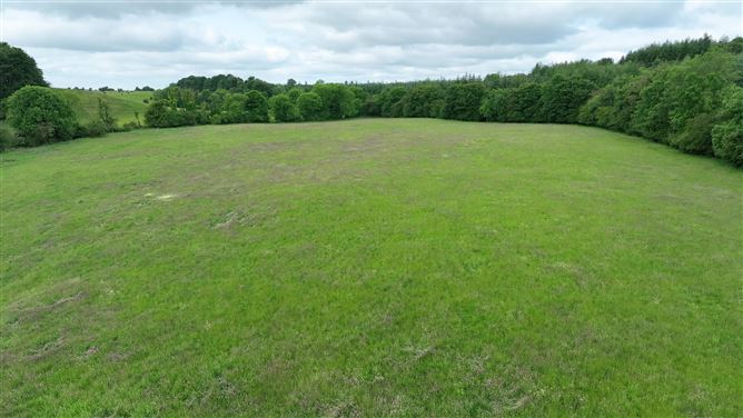 Newforest/Cloneyheigue,, Kilbeggan, Westmeath