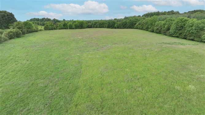 Newforest/Cloneyheigue,, Kilbeggan, Westmeath