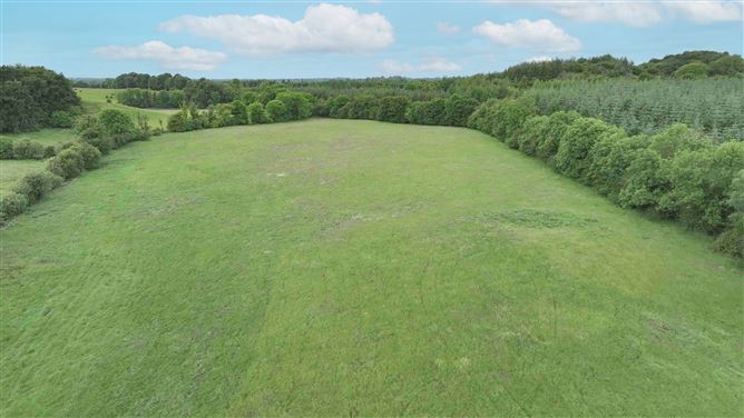 Newforest/Cloneyheigue,, Kilbeggan, Westmeath