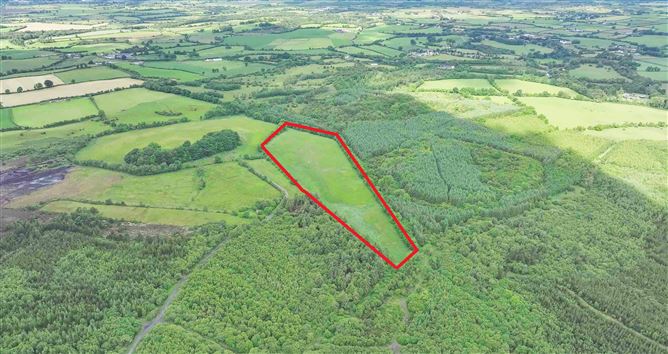 Newforest/Cloneyheigue,, Kilbeggan, Westmeath