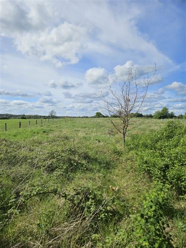 Ballindoolin, Edenderry, Kildare