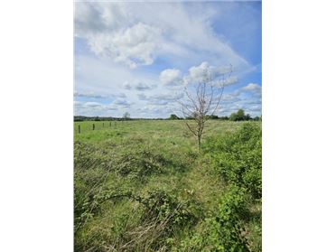Image for Ballindoolin, Edenderry, Kildare