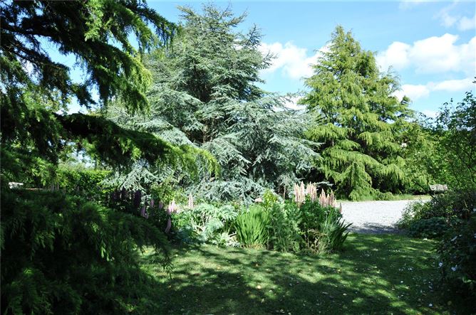 Carstown, Ballymakenny, Drogheda, Co. Louth