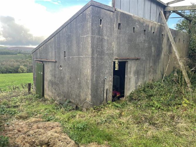 Monavugga On 16.6 Acres, Cappoquin, Waterford