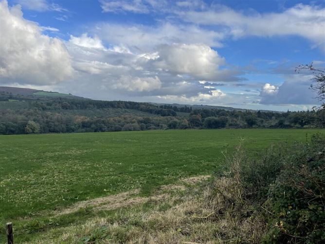 Monavugga On 16.6 Acres, Cappoquin, Waterford